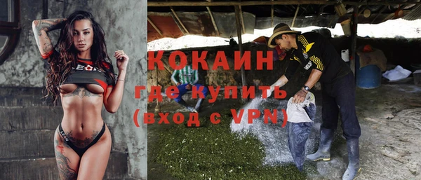 твердый Алзамай
