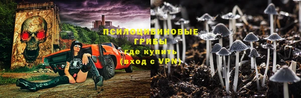 гашик Абаза