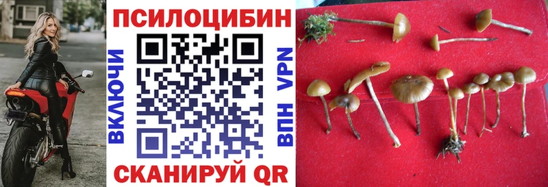 Галлюциногенные грибы ЛСД  Бежецк 